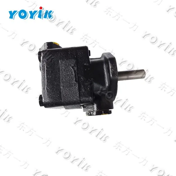 Dependable performance Dongfang Generator spare 125LY-32 DC lube oil pump