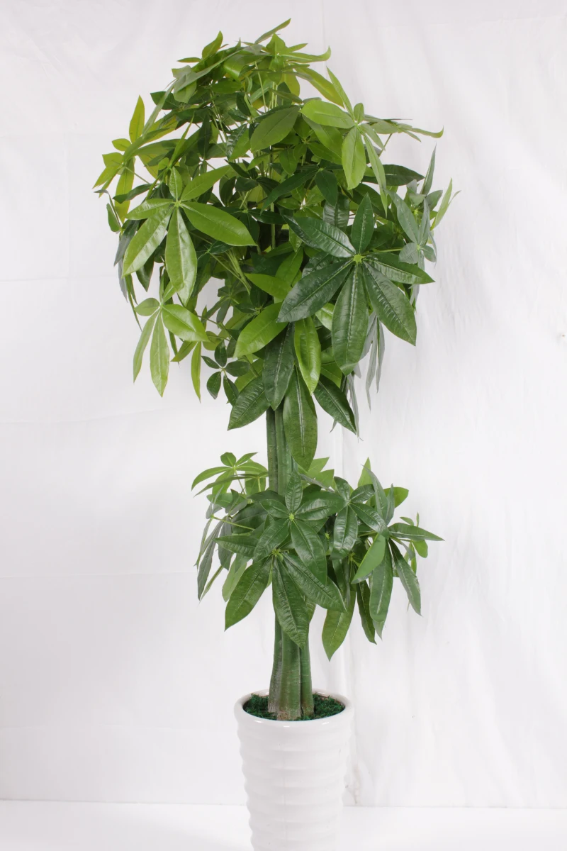 Wholesale Potted/bonsai Artificial /fake/imitation Money Tree Buy