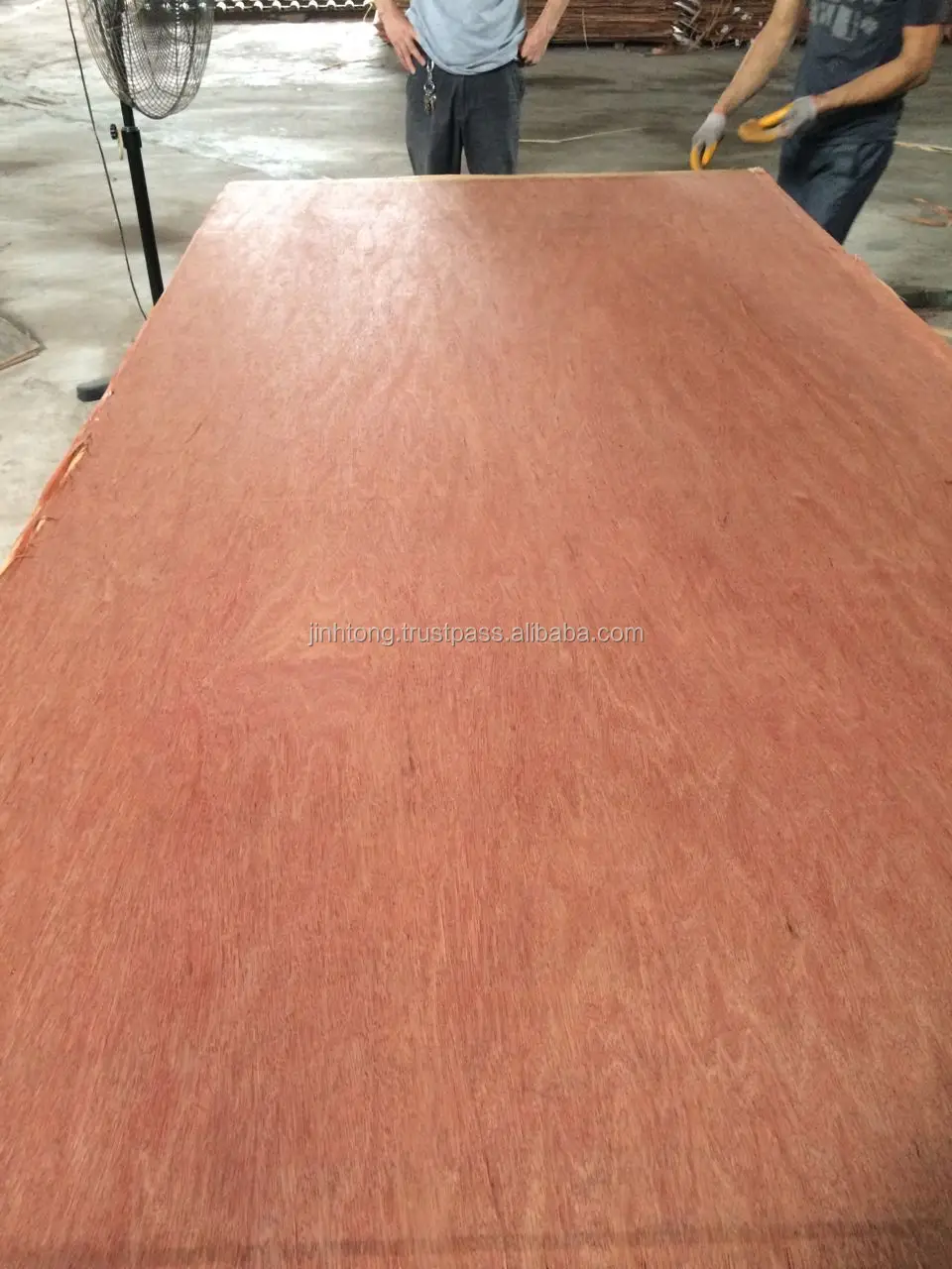 packing grade plywood eucalyptus core/acacia core packing