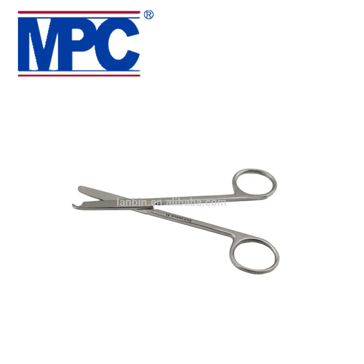 photobank (15)_1.jpg