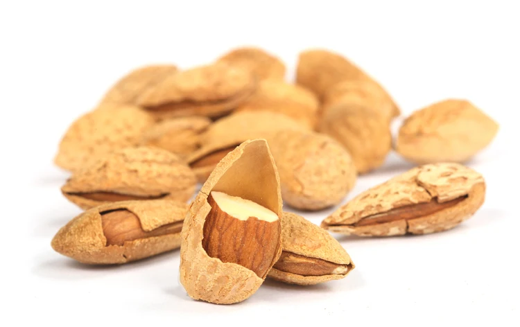 Roasted Almond with shell.jpg