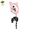/product-detail/rk45-65w-cute-cat-s-ear-large-circlled-light-with-tripod-photography-studio-makeup-beauty-fill-ring-light-for-live-streaming-62213023659.html