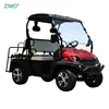 2019 4KW EEC Approved Cheap Used Small Adult 2 Seater Buggy Mini Prices Electric Go Cart