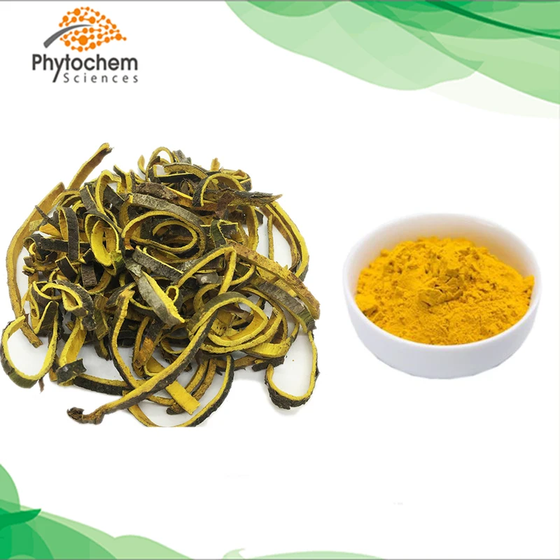 Natural Cork Tree Bark Phellodendron Chinense Schneid Extract Buy