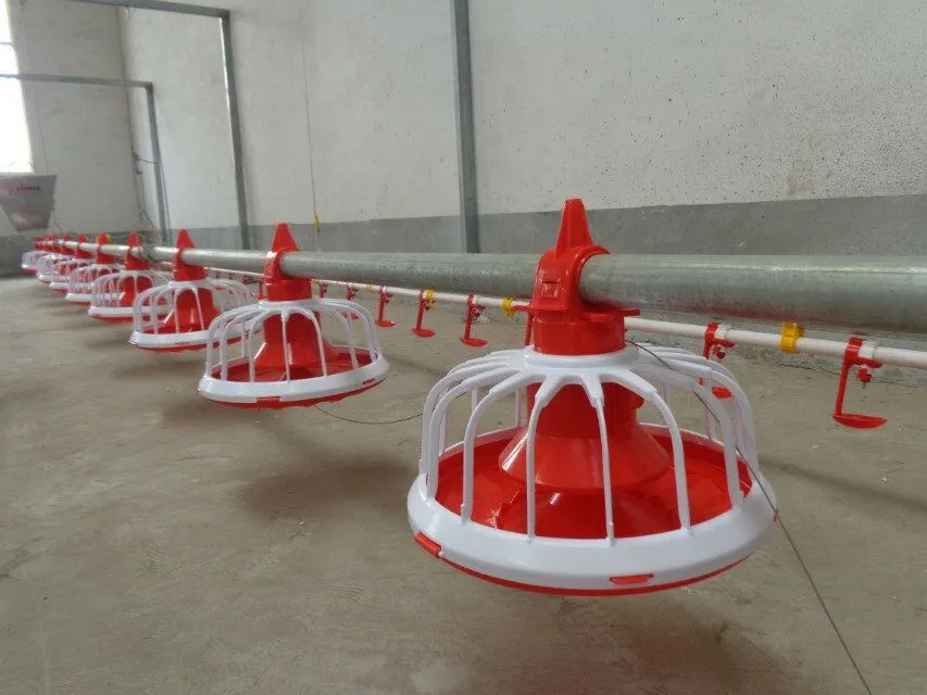 Huabang Serious Automatic Chicken Feeder For Sale Buy Automatic