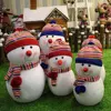 Top selling Fashion Christmas Decoration 2017,Colorful Shenzhen Christmas Present