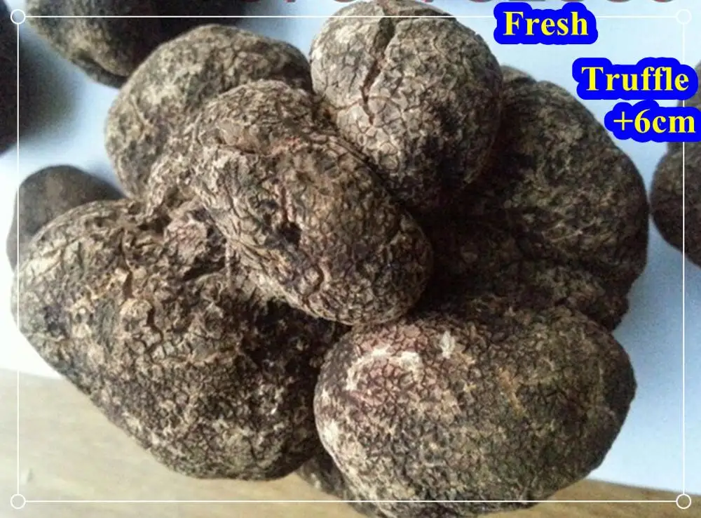 Fresh Truffle Fresh Tuber Indicum Buy Fresh Desert Truffles iqf