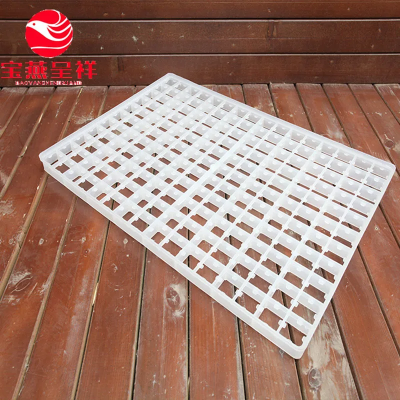 221 Hole Plastic Quail Egg Tray,Egg Crate Buy Plastic Quail Egg Tray