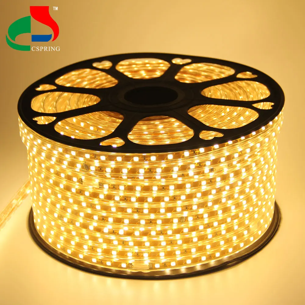 Promotional Led Rope Light Ip65 Strip 5050 Flexible Smd5050