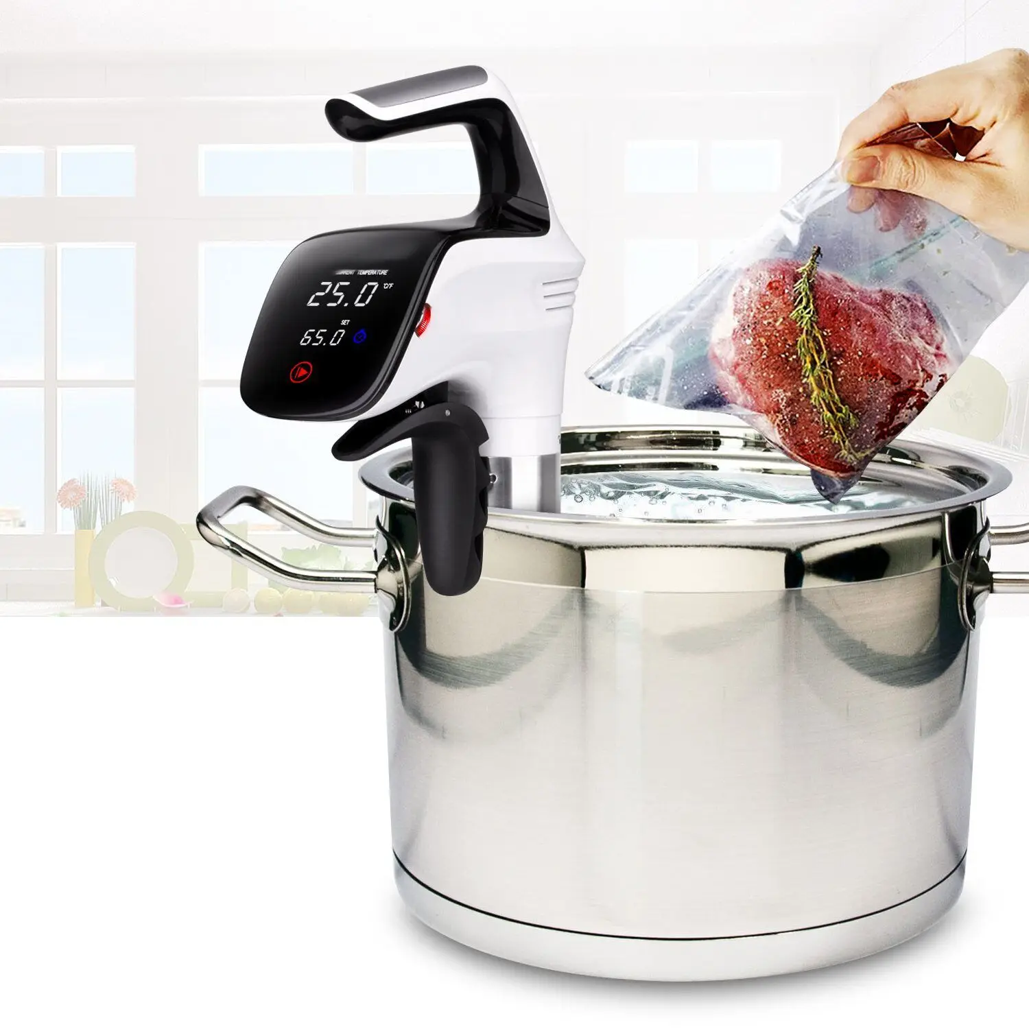 2020 Sous Vide Machine Sous Vide Stick,Sous Vide Circulator With Stocks,No Moq,1 Set Can Sell