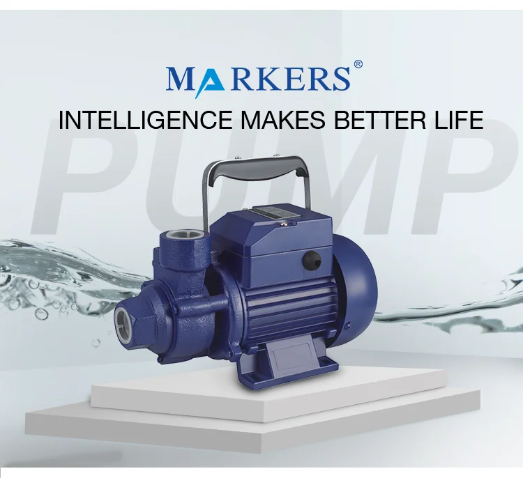 domestic water pumps online