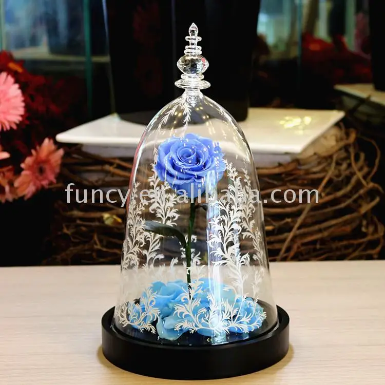 Best Valentines Day Gift Preserved Flower Beauty And The Beast