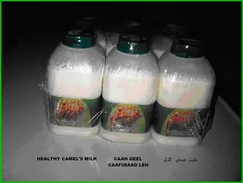 Camels Milk / - Buy Camels Milk / Camel Milk/ Camel / Milk Product on