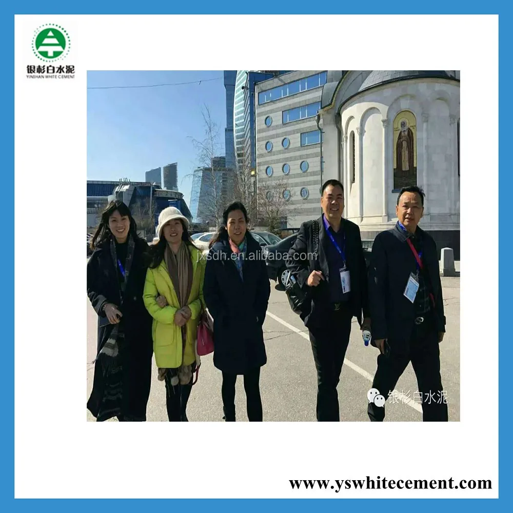 Good Quality Cheap White Portland Cement Waterproofing Price