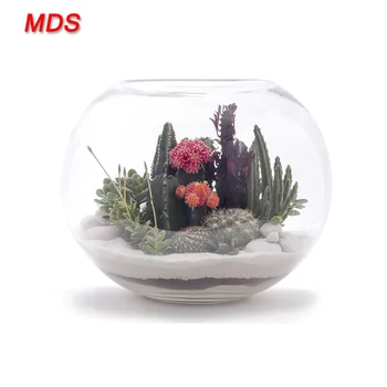 fish bowl glass sphere shape larger