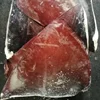 frozen giant squid wings sale