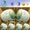 FDA Approval Free Sample Polythene Expanded Foam Plastic Net For Fruit and Vegetable Packaging