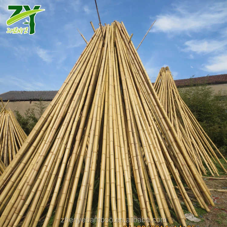 Hot!!! Zy1003 Bamboo Poles For Sales At Factory Cheap Rate,Bamboo