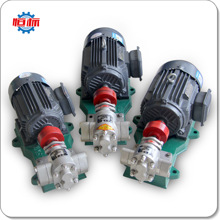 Food Oil Gear Pump Hengbiao Shenghui Stainless Steel Oil 5cst Korea For