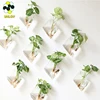 /product-detail/home-garden-hanging-hold-wall-glass-planter-creative-terrarium-glass-flower-pot-for-plants-60753924473.html