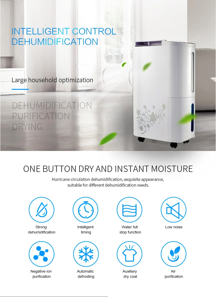 Usa Purifier 110v 60hz Air Dehumidifier 220v 110v 22l Home Dehumidifier