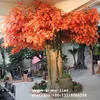 wrap pillar chinese maple tree sale