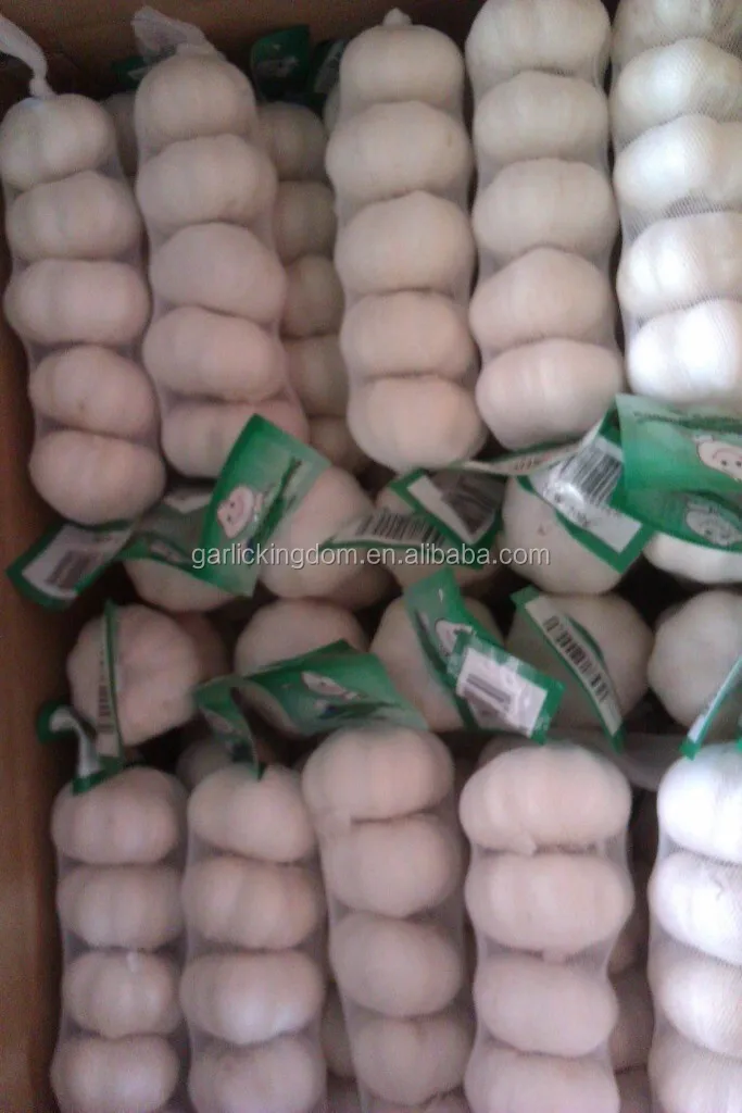 new crop Shandong fresh garlic