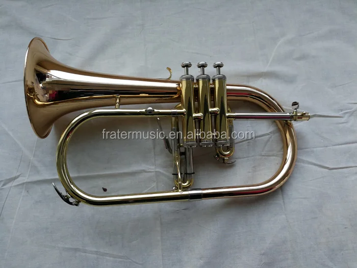 m1.jpg
