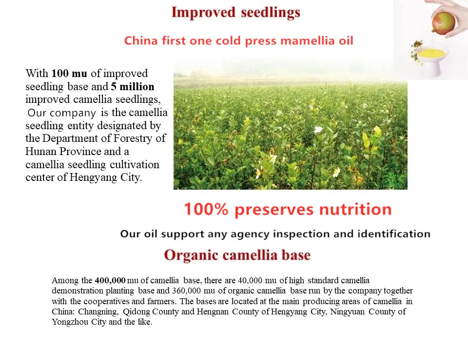 camellia  (1.1)