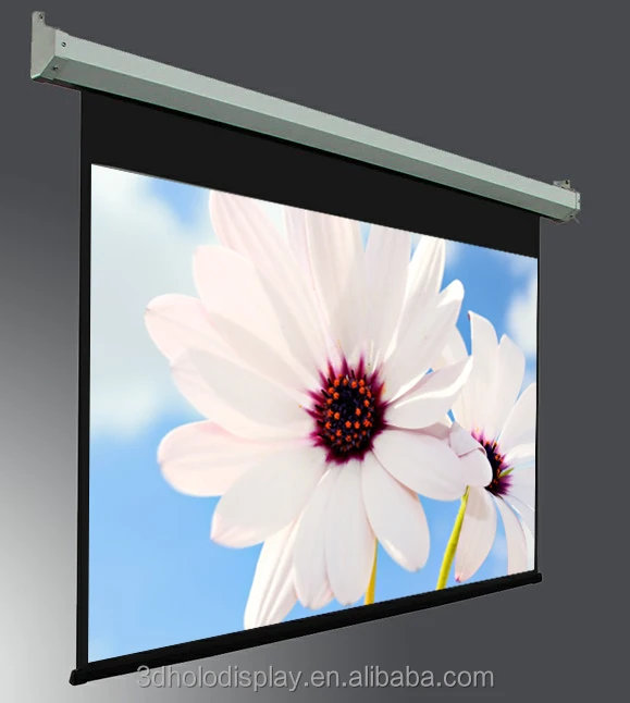 Large Electric Screen   .jpg