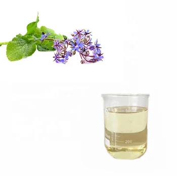 organic borage oil pictures