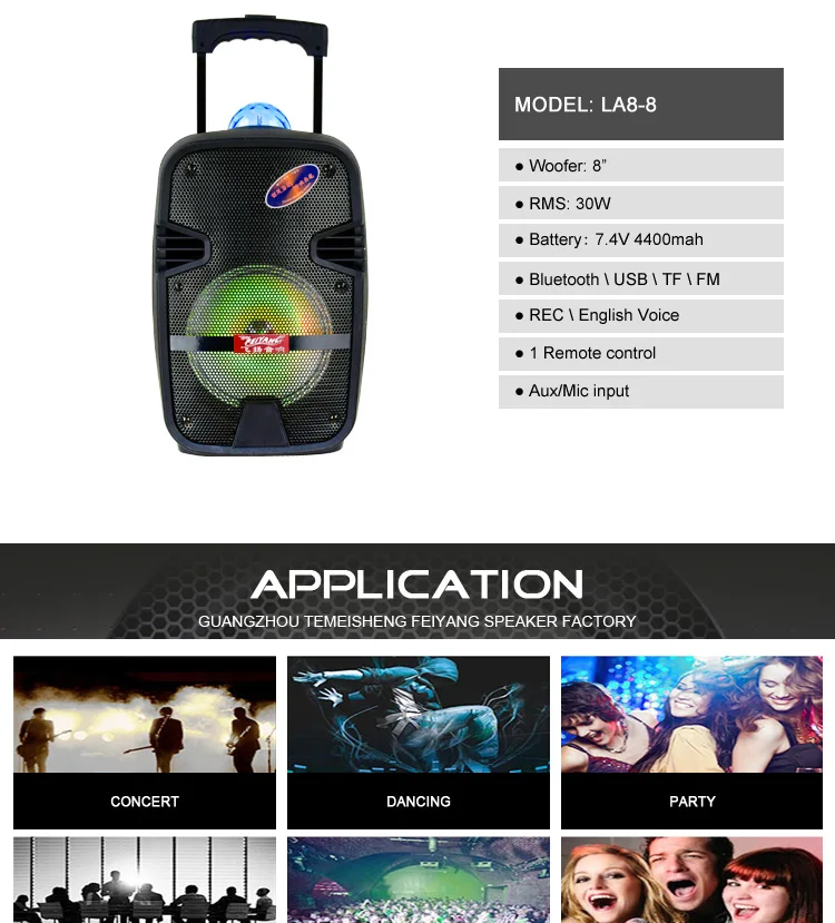 temeisheng(feiyang) chinese karaoke 8 inch professional speaker box loudspeaker enclosure active pa speaker system - ANKUX.COM