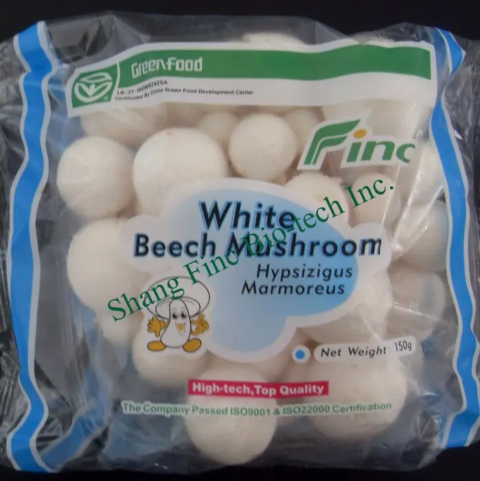 white beech mushroom