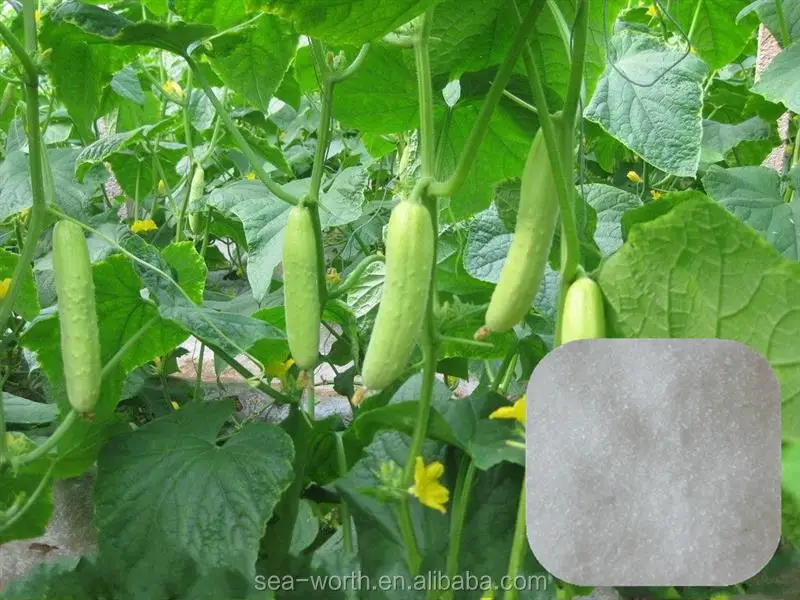 china nickel ammonium sulphate color