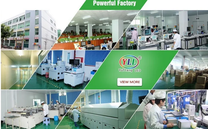 paste-pic-dp_uuid_v2v2z