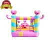 S312B High Quality Fabric Material Customized Available Inflatable Ladybug Bouncy Castle Manufacturer in China