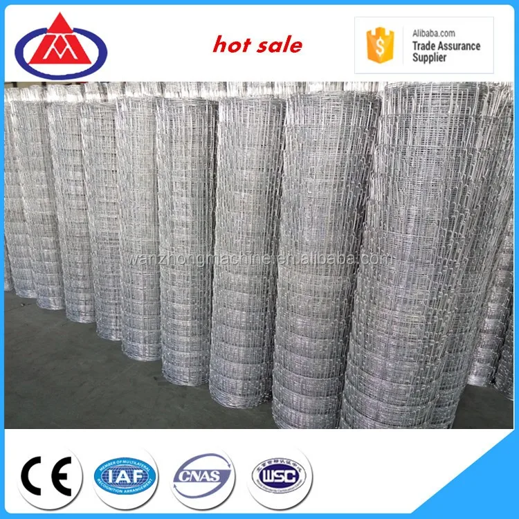 Cattle Fence