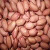 china edible long shape factory peanut