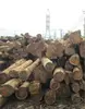 /product-detail/lao-teak-wood-timber-good-quality-159084789.html