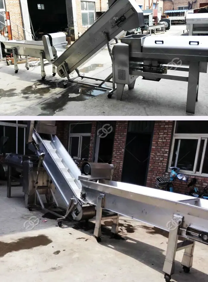 Professional Pomegranate Juice Processing Seeds Removing Skin Separator Peeling Seeding