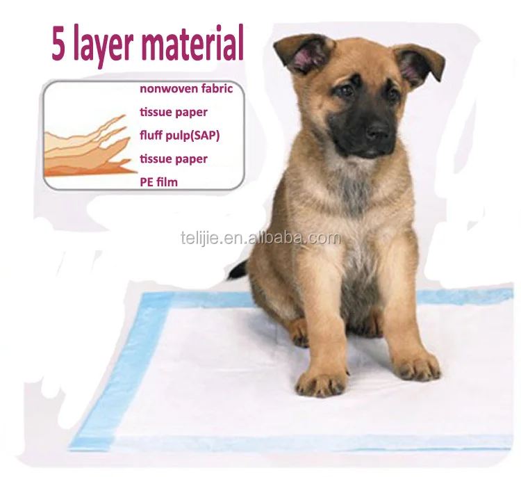 Puppy-training-pad