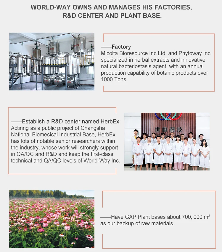 Our factory.jpg