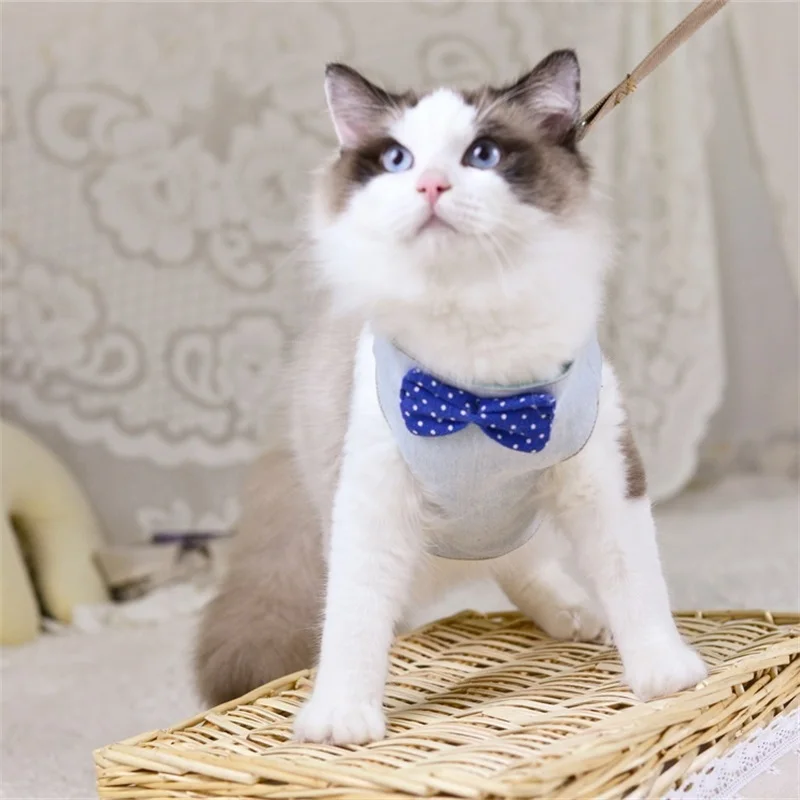 figure eight cat harness