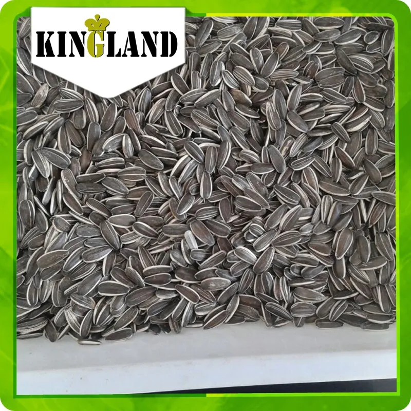 black sunflower seeds for humans black sunflower seeds for for from manufacturer buy seeds sunflower from black sunflower seeds for humans black sunflower seeds for for from manufacturer buy seeds sunflower from