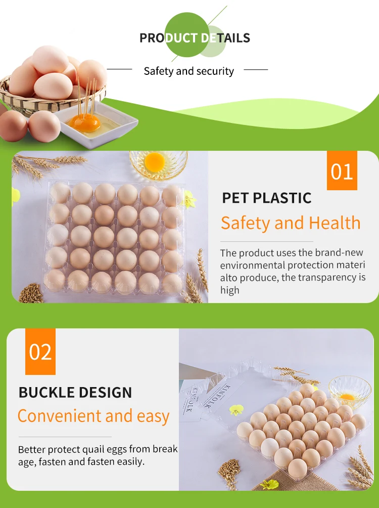 30 Cell Plastic Egg Tray Packaging For Chicken Egg,Clear Egg Tray