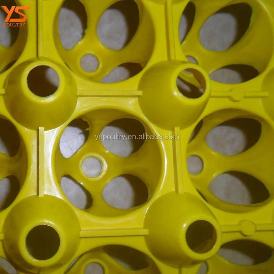 plastic egg tray 82.png