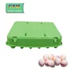 Factory Price paper pulp egg tray 12 chicken eggs / carton tray / egg tray packing