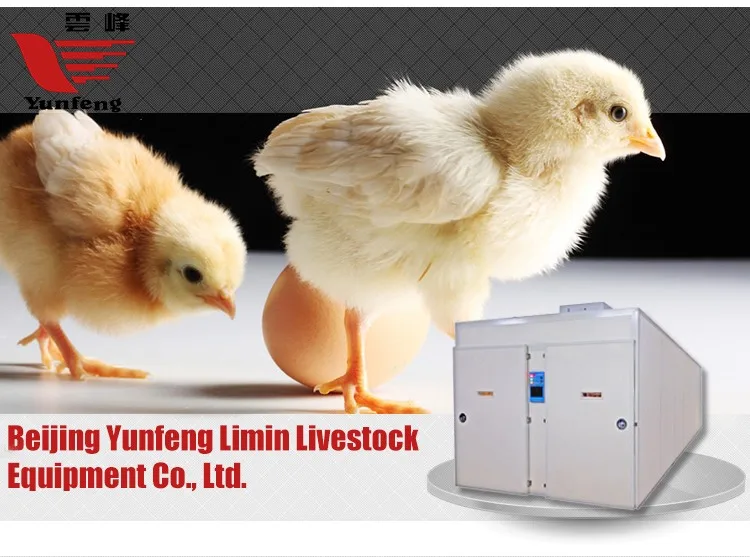 Low Price Incubator In Kerala/poultry Farm Incubator - Buy Incubator 