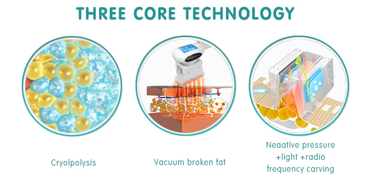 Cheap Price Freezefats Machine Brand for Sale 2 Handles