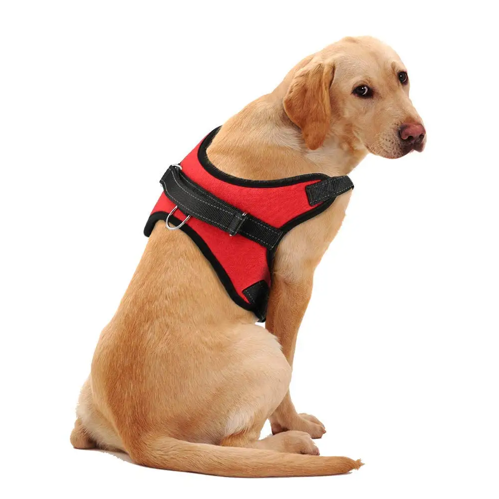 small dog harness backpack